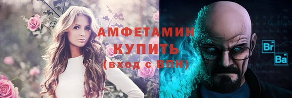 ECSTASY Алзамай