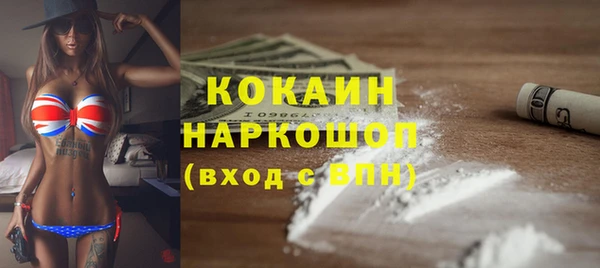 ECSTASY Алзамай