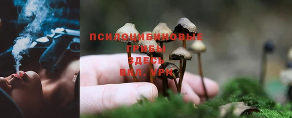 экстази Алексеевка