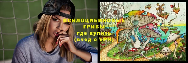 прущая мука Алексин