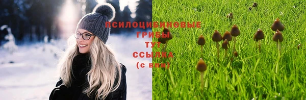 крисы Бутурлиновка