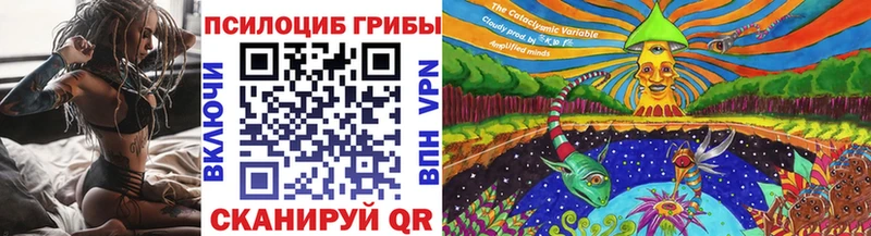 Галлюциногенные грибы Psilocybine cubensis  даркнет сайт  Жуковка 